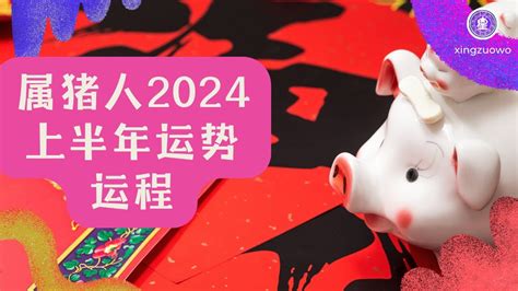 肖猪2024年运程|属猪人2024年全年运势运程详解